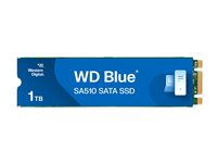 WD Blue SA510 WDS100T3B0B-00AXS0 - SSD - 1 TB - inbyggd - M.2 2280 - SATA 6Gb/s WDS100T3B0B-00AXS0