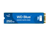 WD Blue SA510 WDS250G3B0B-00AXS0 - SSD - 250 GB - inbyggd - M.2 2280 - SATA 6Gb/s - blå WDS250G3B0B-00AXS0