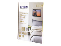 Epson Premium Glossy Photo Paper - Blank - hartsbestruken - Rulle (111,8 cm x 30,5 m) - 165 g/m² - 1 rulle (rullar) fotopapper - för Stylus Pro 11880, Pro 98XX; SureColor SC-P10000, P20000, P8000, P9000, P9500, T7000, T7200 C13S041392