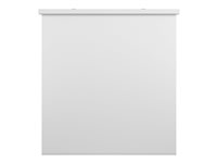 Multibrackets M Motorized Projection Screen Deluxe - Projektorduk - motoriserad - 135" (343 cm) - 1:1 - Matte White - vit 7350022731738